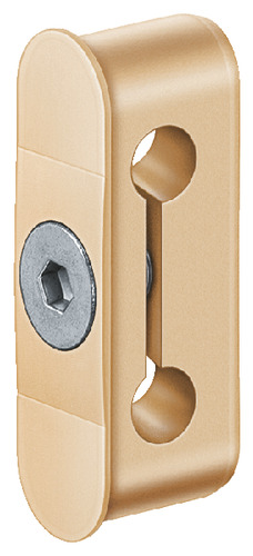 RAL 1014 Ivory (SW 085)