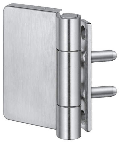 Satin Stainless Steel (SW 040)