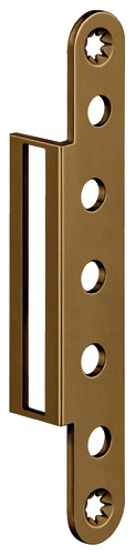 Bronze Finish (SW 174)
