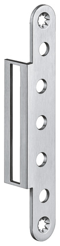 Satin Stainless Steel (SW 040)