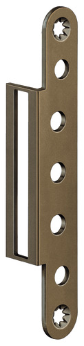 Bronze Finish light (SW 175)