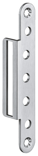 Satin Stainless Steel (SW 040)