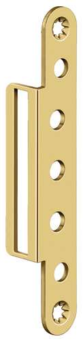 Polished brassed (SW 030)