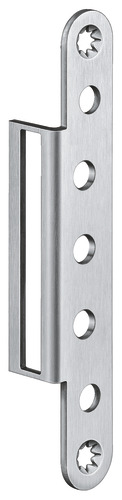 Satin Stainless Steel (SW 040)