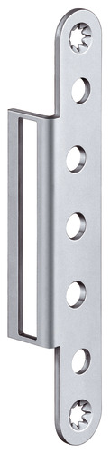 Satin chromed F1 (SW 037)