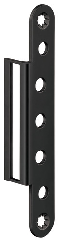 RAL 9005 Matte Black (SW 107)
