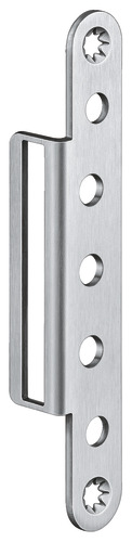 Satin Stainless Steel (SW 040)