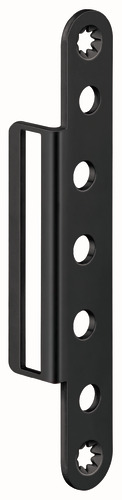 RAL 9005 Matte Black (SW 107)