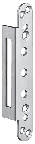 Satin Stainless Steel (SW 040)