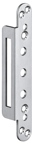Satin Stainless Steel (SW 040)