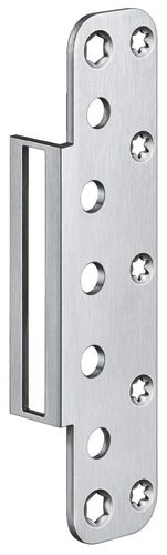 Satin Stainless Steel (SW 040)