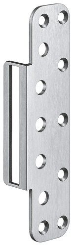 Satin Stainless Steel (SW 040)