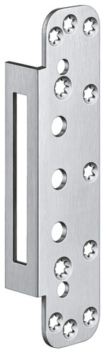 Satin Stainless Steel (SW 040)