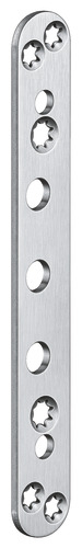Satin Stainless Steel (SW 040)