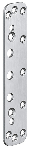 Satin Stainless Steel (SW 040)