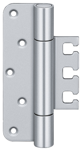 Satin chromed F1 (SW 037)