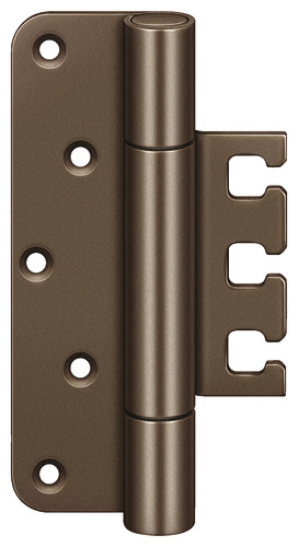 Bronze Finish light (SW 175)