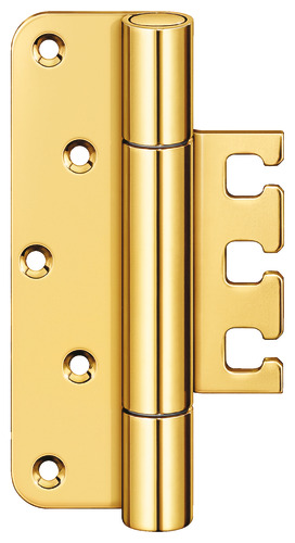 Polished brassed (SW 030)